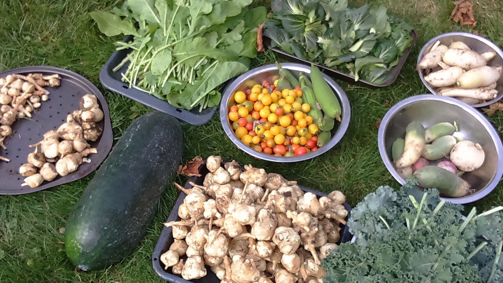 Planting and Food Preservation